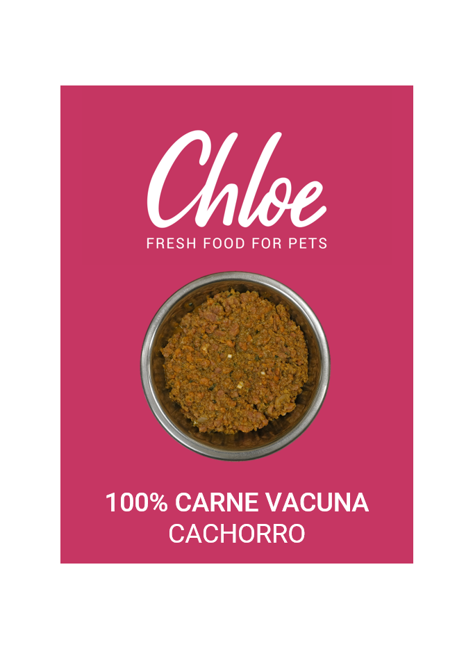 100-CARNE-CACHORRO.